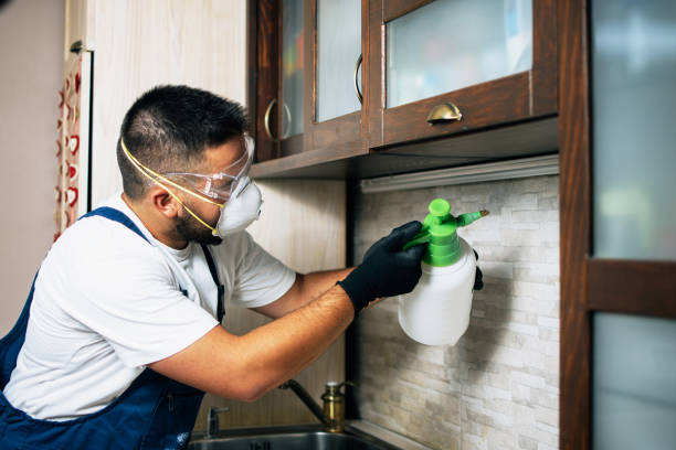 Best Local Pest Control Services  in Lexington, WA