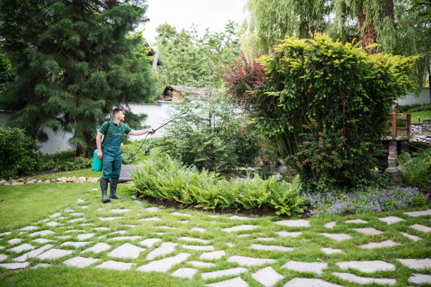 Reliable Lexington, WA Pest Control Solutions