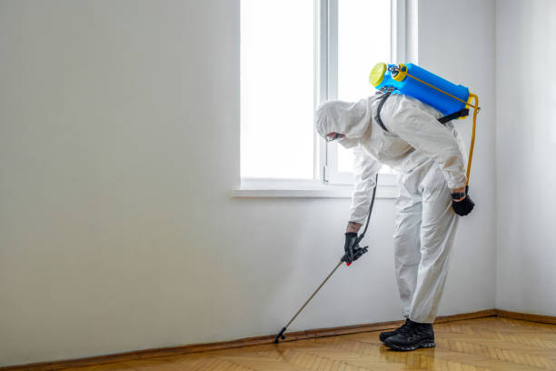 Best Pest Prevention Services  in Lexington, WA
