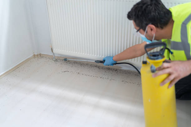 Best Exterminator Services  in Lexington, WA